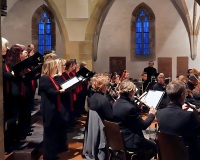 DSC07368 bearbeitet 1-1